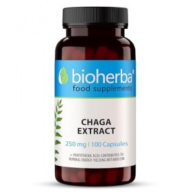 Chaga – 100 Gélules de 250 mg | Extrait pur de champignon – par BIOHERBA