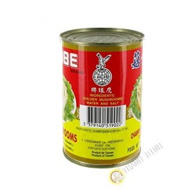 EAGLOBE - Champignon or EAGLOBE 425g Taiwan - PSP051902 - Lot 3