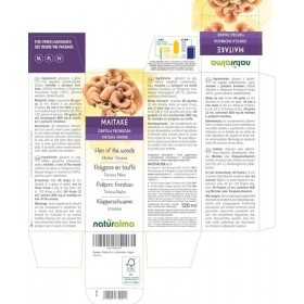 Maitake ou Polypore en touffe Grifola frondosa ou Polyporus frondosus champignon Teinture Mère sans alcool Naturalma - Extr