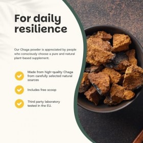 Cupplement | Chaga 60 grammes | Biologique | Cuillère gratuite | Poudre de champignons de la plus haute qualité