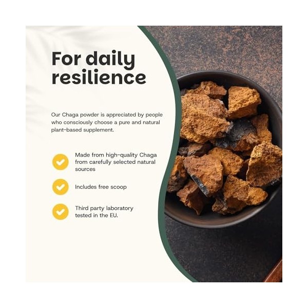 Cupplement | Chaga 60 grammes | Biologique | Cuillère gratuite | Poudre de champignons de la plus haute qualité