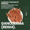 Reishi Ganoderma lucidum – Lingzhi | Immunité | Détente | Anti Fatigue | Antioxydant | Champignon en Vrac Séché | 100 g