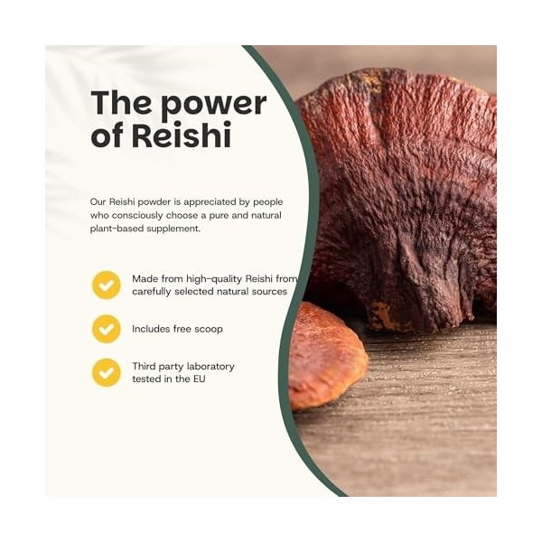 Cupplement Poudre de Champignon Reishi 60 g Biologique – Sans Capsule ni Extrait – Complément – Champignon – Poudre