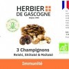 Complexe Immunité 3 champignons | Reishi Bio | Maitake Bio | Shiitake Bio | 200 gélules | Immunité | 100% naturel sans additi...
