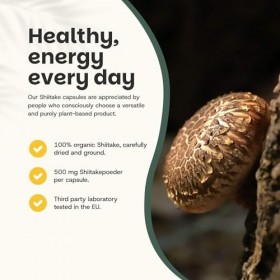 Cupplement - Shiitake 60 Capsules - Champignon Bio - Scoop Gratuit - Traces de Champignons - Superaliment - Shitake - Sans Ex