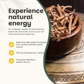 Cupplement Cordyceps Mushroom Capsules 60 Pièces 500 MG Par Capsule Bio - Sans Poudre - Supplément - Superfood - Champignon -