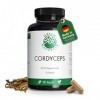 Cordyceps Sinensis - 400mg par dose journalière - IMPORTANT: Extrait 10:1 -14000mg de Cordyceps par dose +40% de polysaccha