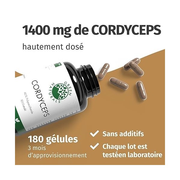 Cordyceps Sinensis - 400mg par dose journalière - IMPORTANT: Extrait 10:1 -14000mg de Cordyceps par dose +40% de polysaccha