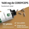 Cordyceps Sinensis - 400mg par dose journalière - IMPORTANT: Extrait 10:1 -14000mg de Cordyceps par dose +40% de polysaccha
