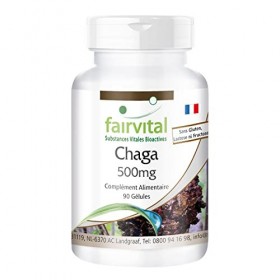 Fairvital | Chaga 500mg VEGAN - Hautement dosé - 90 capsules - Inonotus obliquus - champignon en poudre