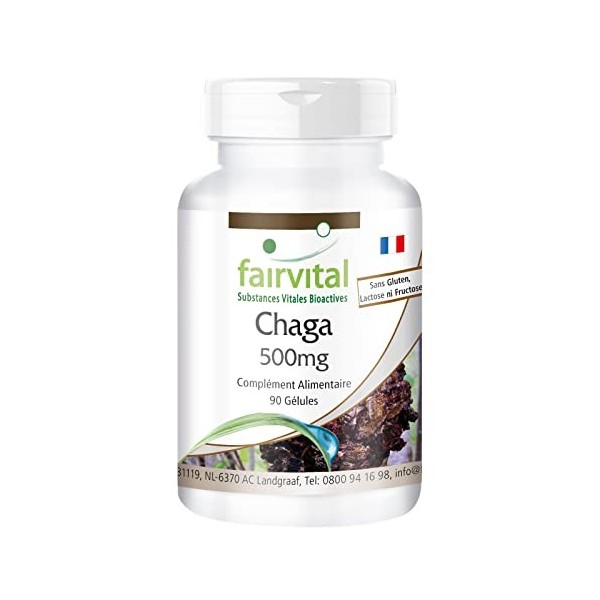 Fairvital | Chaga 500mg VEGAN - Hautement dosé - 90 capsules - Inonotus obliquus - champignon en poudre