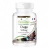 Fairvital | Chaga 500mg VEGAN - Hautement dosé - 90 capsules - Inonotus obliquus - champignon en poudre