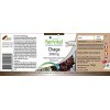 Fairvital | Chaga 500mg VEGAN - Hautement dosé - 90 capsules - Inonotus obliquus - champignon en poudre