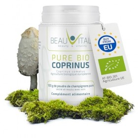 Bio Coprinus comatus 100g poudre de champignon médicinale issue de lagriculture biologique de lUE, végétalienne, sans addit