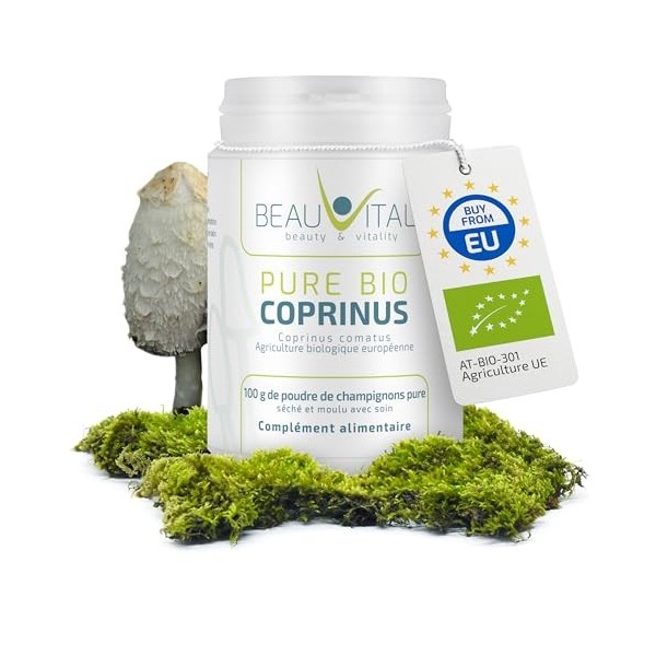 Bio Coprinus comatus 100g poudre de champignon médicinale issue de lagriculture biologique de lUE, végétalienne, sans addit