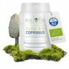 Bio Coprinus comatus 100g poudre de champignon médicinale issue de lagriculture biologique de lUE, végétalienne, sans addit