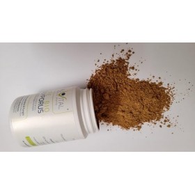 Bio Coprinus comatus 100g poudre de champignon médicinale issue de lagriculture biologique de lUE, végétalienne, sans addit