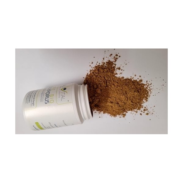 Bio Coprinus comatus 100g poudre de champignon médicinale issue de lagriculture biologique de lUE, végétalienne, sans addit