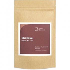 Terra Elements Shiitaké bio en poudre 100 g I 100% pure I vegan I qualité crue