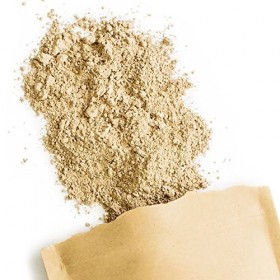Terra Elements Shiitaké bio en poudre 100 g I 100% pure I vegan I qualité crue