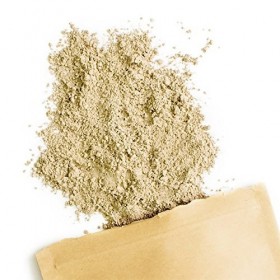 Terra Elements Hericium bio en poudre 100 g I Hydne herisson I 100% pure I vegan I qualité crue