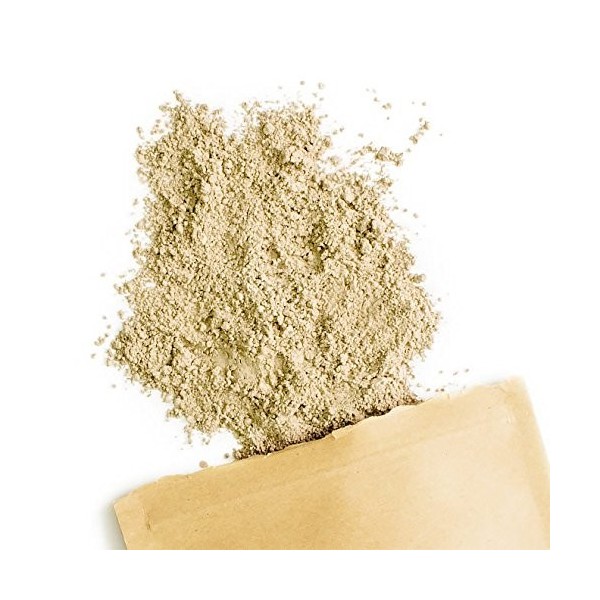 Terra Elements Hericium bio en poudre 100 g I Hydne herisson I 100% pure I vegan I qualité crue