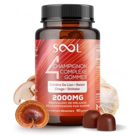 SOOL Gommes Complexe de 4 Champignons 2000 mg, 60 pièces, Saveur Naturelle : Chaga, Reishi, Shiitake, Crinière de Lion | Gomm