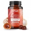 SOOL Gommes Complexe de 4 Champignons 2000 mg, 60 pièces, Saveur Naturelle : Chaga, Reishi, Shiitake, Crinière de Lion | Gomm