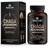 Solve Labs® ● Capsules de champignon chaga sibérien de qualité supérieure ● 10% de bêta-D-glucanes ● Extrait 10:1 ● Sans agen...