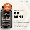 Solve Labs® ● Capsules de champignon chaga sibérien de qualité supérieure ● 10% de bêta-D-glucanes ● Extrait 10:1 ● Sans agen...