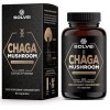 Solve Labs® ● Capsules de champignon chaga sibérien de qualité supérieure ● 10% de bêta-D-glucanes ● Extrait 10:1 ● Sans agen...