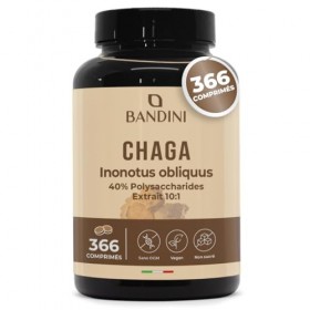 Bandini® Chaga 366 comprimés à Base du Champignon Polypore Oblique - Inonotus Obliquus | Complément Riche en antioxydants et 