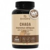 Bandini® Chaga 366 comprimés à Base du Champignon Polypore Oblique - Inonotus Obliquus | Complément Riche en antioxydants et 
