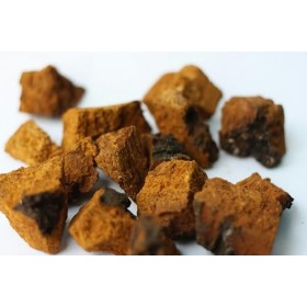 Kamelur Poudre de chaga bio 250 g - Poudre de champignon sans additifs, aliments asiatiques - Champignons bio issus de lagri