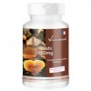 Reishi 650mg - avec 1950mg de poudre de Reishi par dose journalière - Ganoderma lucidum - ! POUR 3 MOIS ! | Vitamintrend