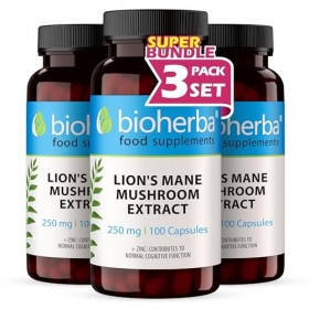 Lion’s Mane Hericium erinaceus – 300 Gélules de 220 mg | Extrait de champignon crinière de lion – par BIOHERBA Champignons