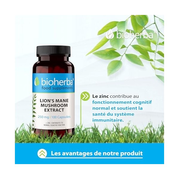 Lion’s Mane Hericium erinaceus – 300 Gélules de 220 mg | Extrait de champignon crinière de lion – par BIOHERBA Champignons