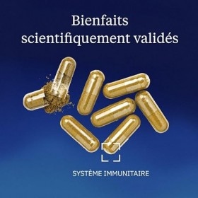 Shiitaké Bio Extrait Concentré - 30% Polysaccharides, 20% Bêta-Glucanes - Extrait Totum - Séchage à basse température - Full 