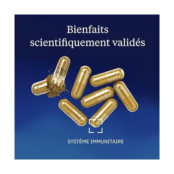 Shiitaké Bio Extrait Concentré - 30% Polysaccharides, 20% Bêta-Glucanes - Extrait Totum - Séchage à basse température - Full 