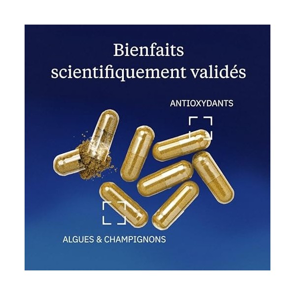 Maitaké BIO – Extrait Full Spectrum Ultra Concentré - 60% Polysaccharides & 20% Bêta-Glucanes – 500mg - Sans Additifs – Champ