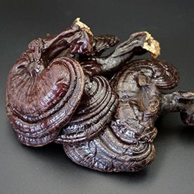 Purple Ganoderma Lucidum Wild Lingzhi Champignon Reishi Bio 500g