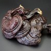 Purple Ganoderma Lucidum Wild Lingzhi Champignon Reishi Bio 500g