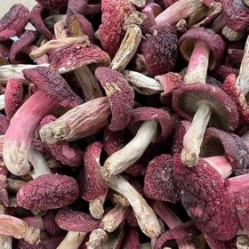 Champignon rouge, petit champignon séché 50 g