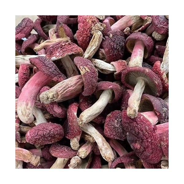 Champignon rouge, petit champignon séché 50 g