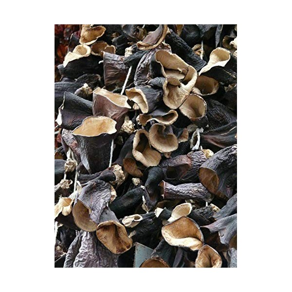 Champignons noirs séchés / déshydratés - Marque Coq - 80G Lot de 6 sachets Champignons