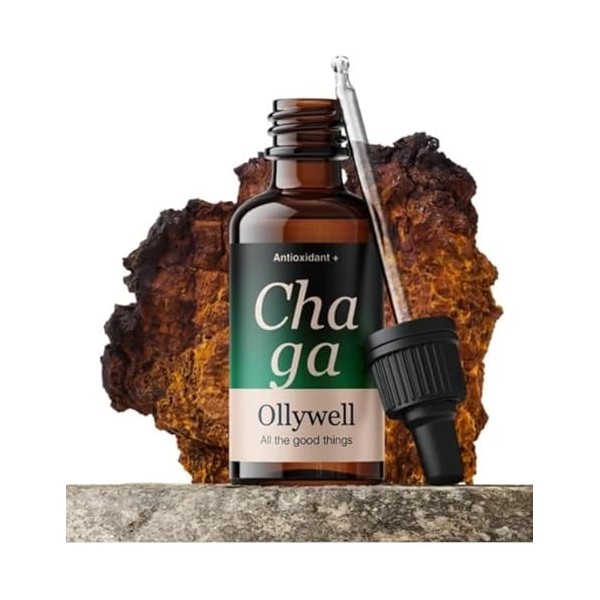Ollywell Chaga – Premium 100% UE – Vit. B – Double extrait 10:1 – Full spectrum – Teinture 30 ml – Adaptogène – Gouttes fonct