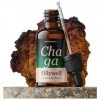 Ollywell Chaga – Premium 100% UE – Vit. B – Double extrait 10:1 – Full spectrum – Teinture 30 ml – Adaptogène – Gouttes fonct