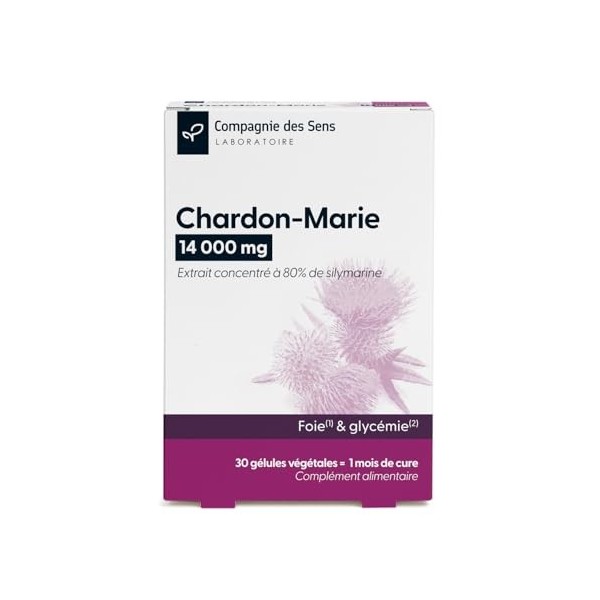 Chardon-Marie 14 000 mg – Haute teneur en Silymarine – 1 mois de cure intensive