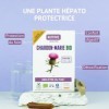 Chardon Marie Bio - Hautement dosé 2400 mg par dose - Protection du foie et Confort Digestif - 20 ampoules - Fabriqué en Fran