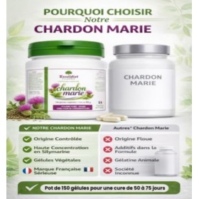 Chardon Marie 150 Gélules de 450 mg – Standardisé en Silymarine – Complément Alimentaire Foie & Digestion – Soutien Hépatique